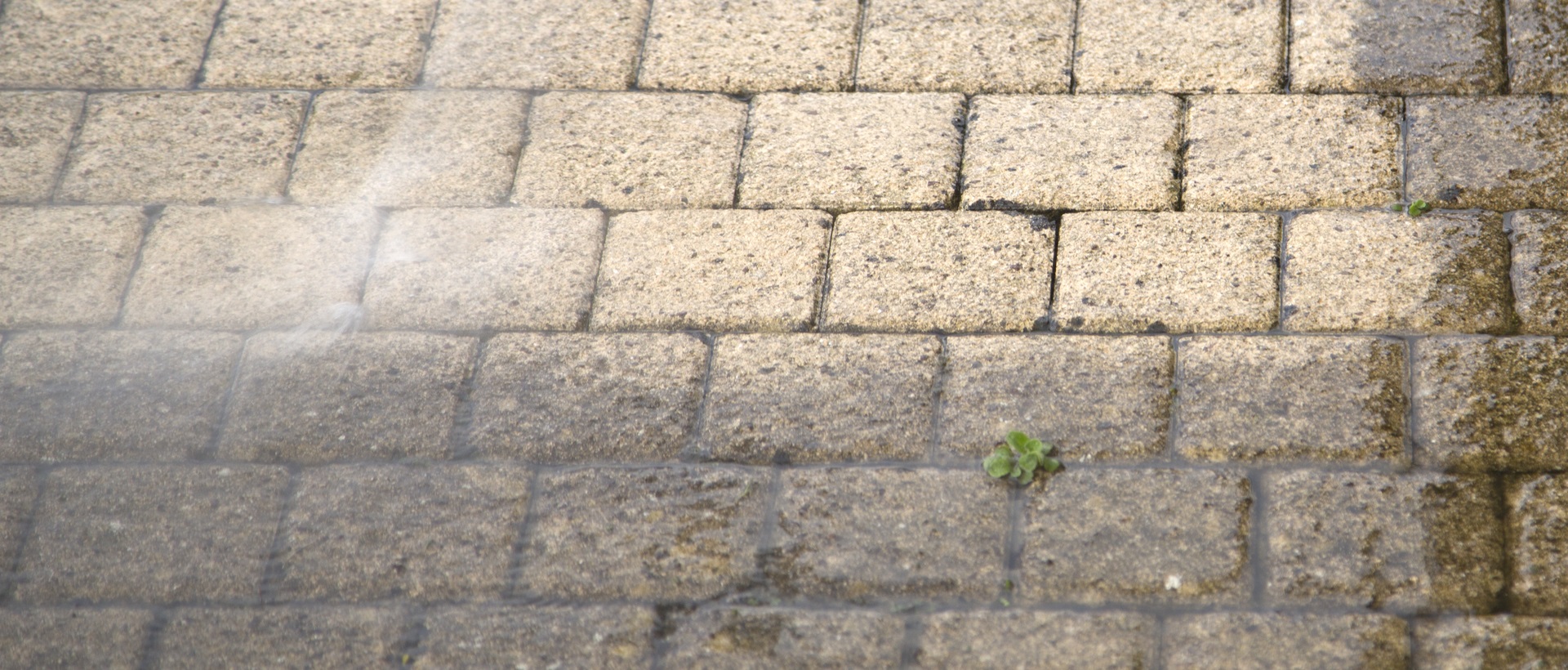 flagging and patios W11