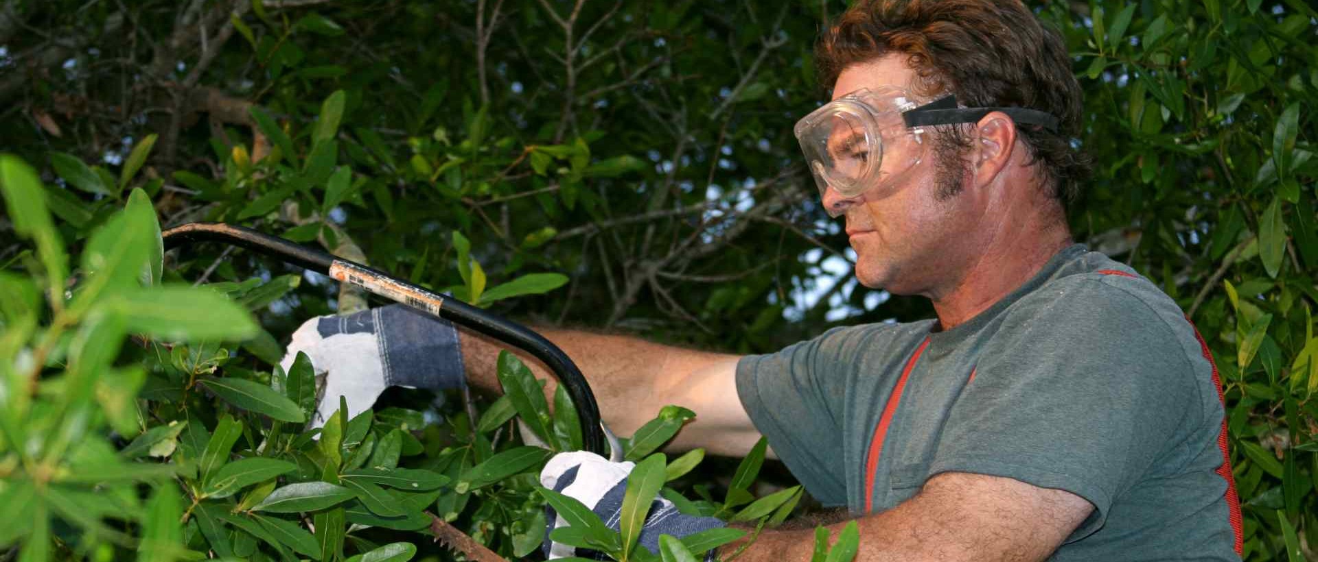 garden clearance W11